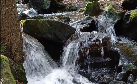 Entlastung in der Natur, negativ geladene Ionen